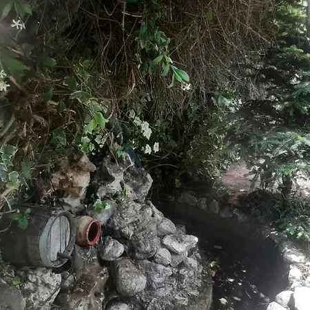 καρδιτσιωτικο ホテル Kardítsa
